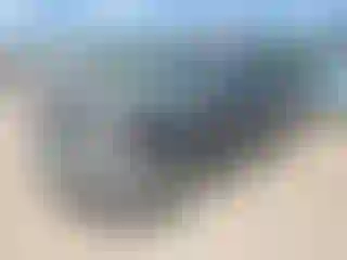 Vehicle Image- 2005 Chevrolet Avalanche