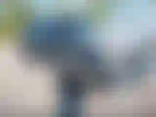 Vehicle Image- 2002 Chevrolet Avalanche