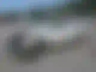 IMPORTOWO.pl
