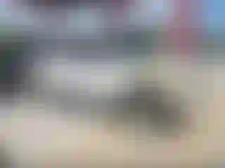Vehicle Image- 2005 Chevrolet Suburban