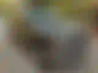 Vehicle Image- 2005 Chevrolet Suburban