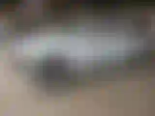 Vehicle Image- 2005 Chevrolet Suburban