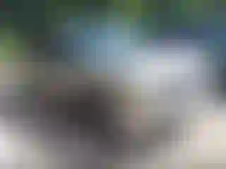 Vehicle Image- 2003 Chevrolet Suburban