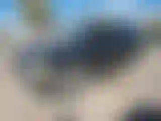 Vehicle Image- 2005 Chevrolet Suburban