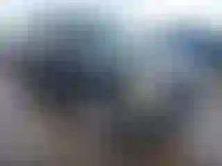 Vehicle Image- 2005 Chevrolet Suburban