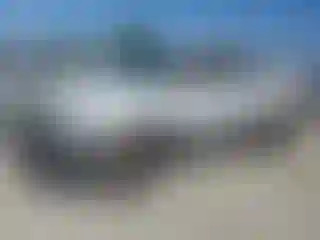 Vehicle Image- 2005 Chevrolet Avalanche