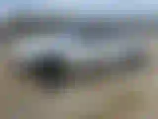 Vehicle Image- 2005 Chevrolet Avalanche