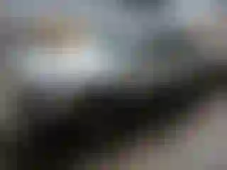 Vehicle Image- 2002 Chevrolet Avalanche
