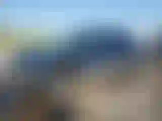 Vehicle Image- 2002 Chevrolet Avalanche