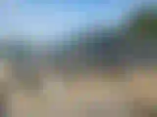 Vehicle Image- 2003 Chevrolet Avalanche