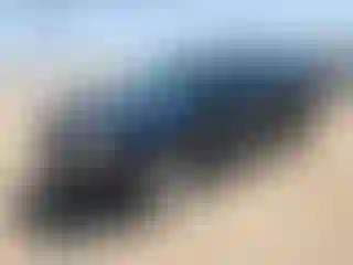 Vehicle Image- 2008 Chevrolet Suburban