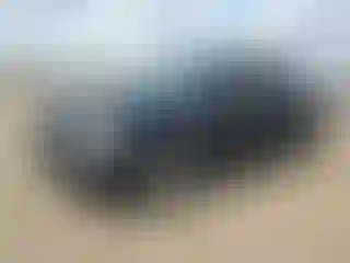 Vehicle Image- 2007 Chevrolet Avalanche
