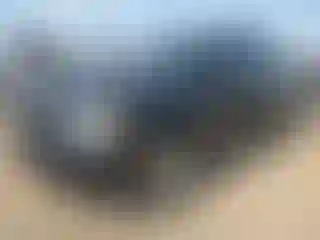 Vehicle Image- 2007 Chevrolet Avalanche
