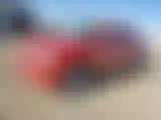 Vehicle Image- 2008 Chevrolet Avalanche