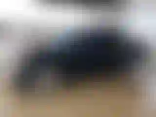 Vehicle Image- 2008 Chevrolet Avalanche