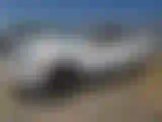 Vehicle Image- 2007 Chevrolet Avalanche