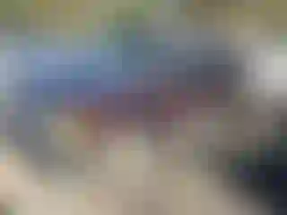 Vehicle Image- 1997 Chevrolet Suburban