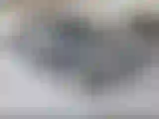 Vehicle Image- 2003 Chevrolet Suburban