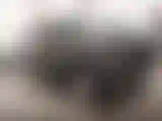 Vehicle Image- 2003 Chevrolet Suburban