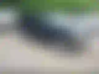 Vehicle Image- 2005 Chevrolet Suburban