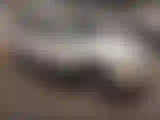 Vehicle Image- 2004 Chevrolet Suburban