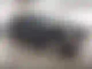 Vehicle Image- 2005 Chevrolet Suburban