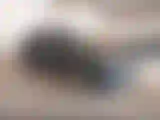 Vehicle Image- 2020 Chevrolet Blazer