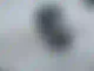 Vehicle Image- 2019 Chevrolet Blazer