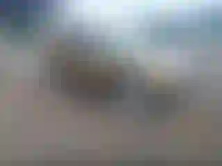 Vehicle Image- 2019 Chevrolet Blazer