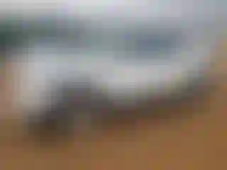 Vehicle Image- 2019 Chevrolet Blazer