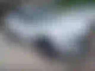 Vehicle Image- 2024 Chevrolet Blazer