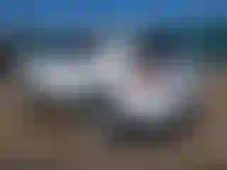IMPORTOWO.pl