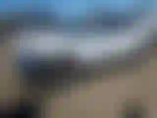 Vehicle Image- 2024 Chevrolet Blazer