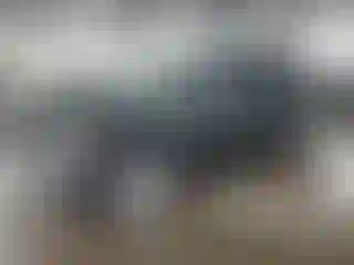 Vehicle Image- 2020 Chevrolet Blazer