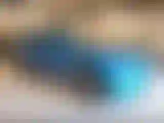 Vehicle Image- 2024 Chevrolet Trailblazer