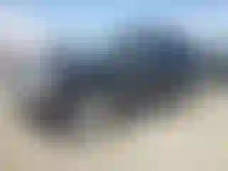 Vehicle Image- 2011 Chevrolet Avalanche