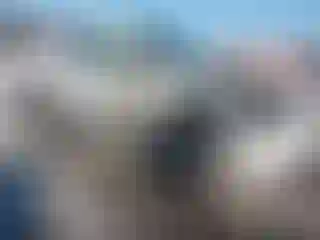 Vehicle Image- 2013 Chevrolet Avalanche