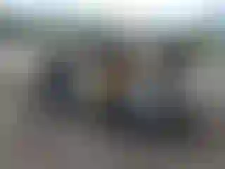 IMPORTOWO.pl