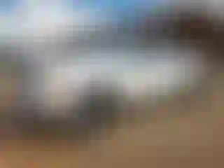 Vehicle Image- 2009 GMC Sierra