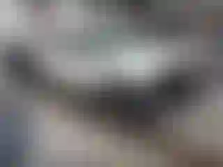 Vehicle Image- 2008 GMC Sierra