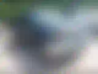 Vehicle Image- 2008 GMC Sierra