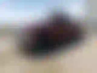 Vehicle Image- 2011 GMC Sierra