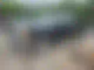 Vehicle Image- 2012 GMC Sierra