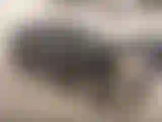 Vehicle Image- 2013 GMC Sierra