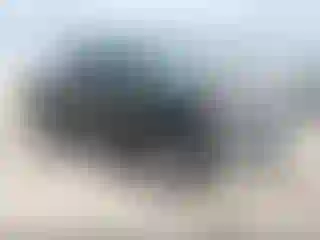 Vehicle Image- 2020 GMC Sierra