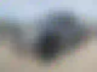 Vehicle Image- 2022 GMC Sierra