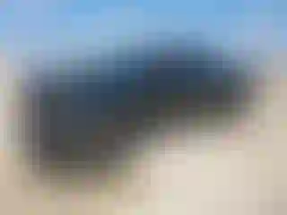 Vehicle Image- 2024 GMC Sierra