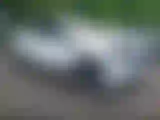 Vehicle Image- 2024 GMC Sierra