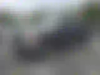 Vehicle Image- 2010 GMC Sierra