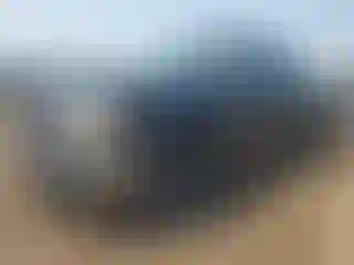 Vehicle Image- 2010 GMC Sierra